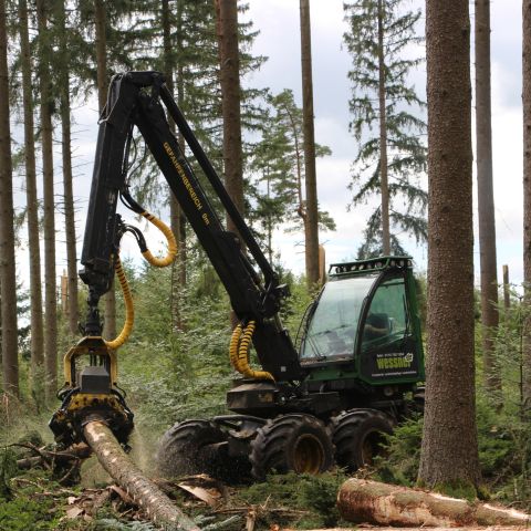 Wessner Forstbetrieb Landschaftspflege