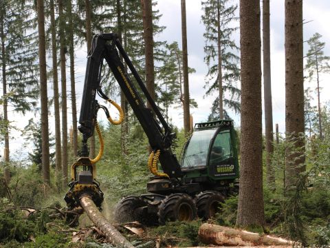 Wessner Forstbetrieb Landschaftspflege